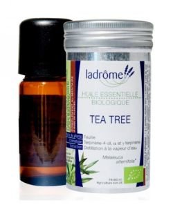 Tea Tree (Melaleuca alternifolia) BIO, 10 ml